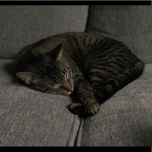 Meet your Posher, Rachel